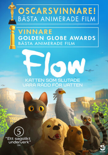 Flow